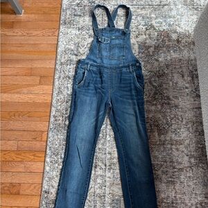 Free People skinny jean overalls